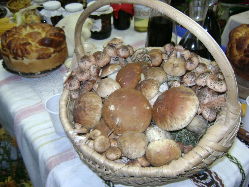 Villa Casa Bunicii Din Bucovina Vama  Habitación foto