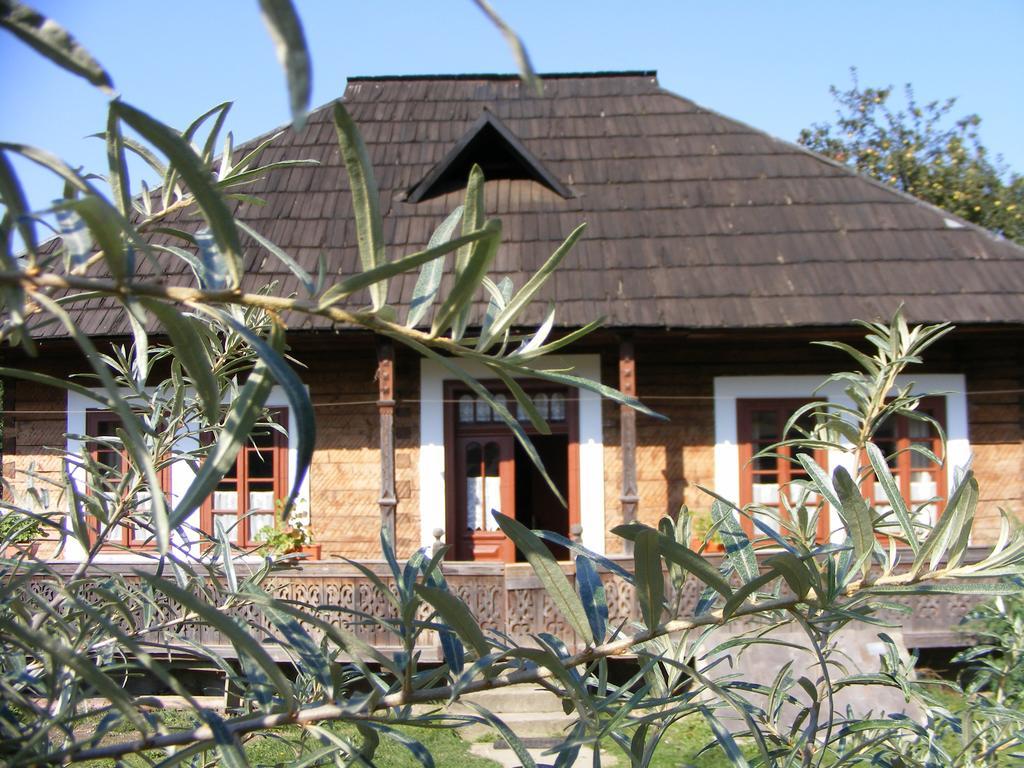 Villa Casa Bunicii Din Bucovina Vama  Exterior foto